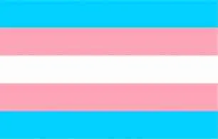 Trans flag